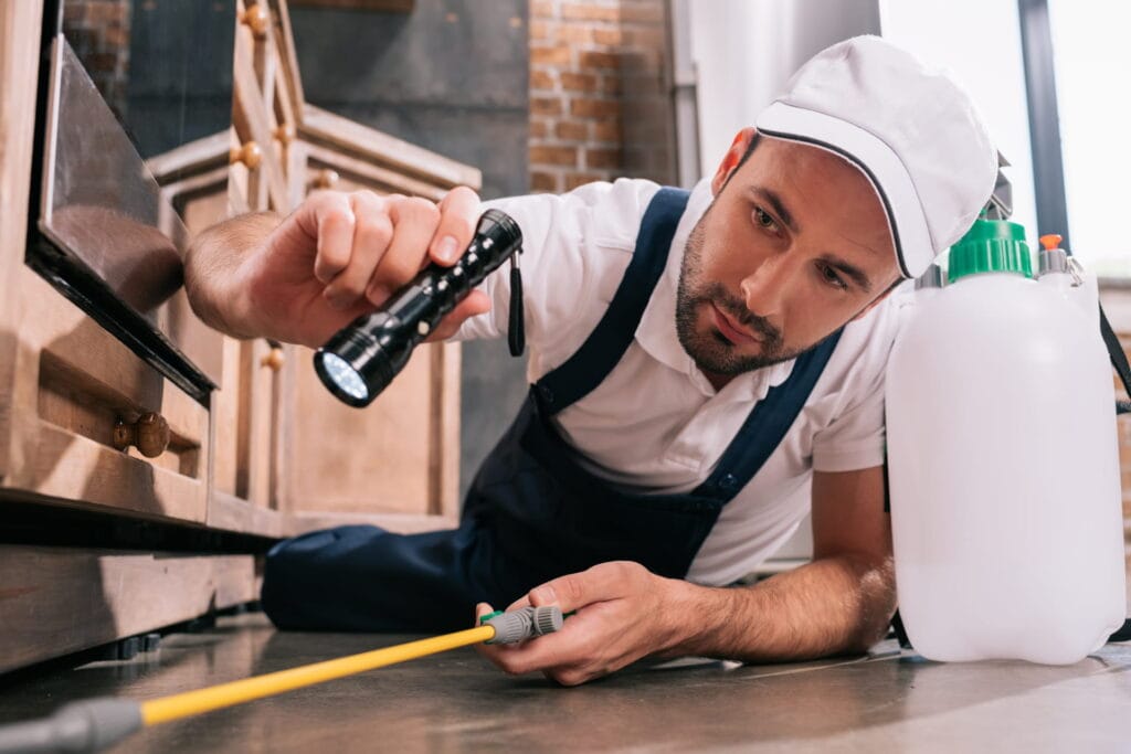 Pest control inspection